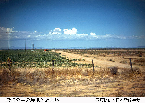 沙漠の中の農地と放棄地